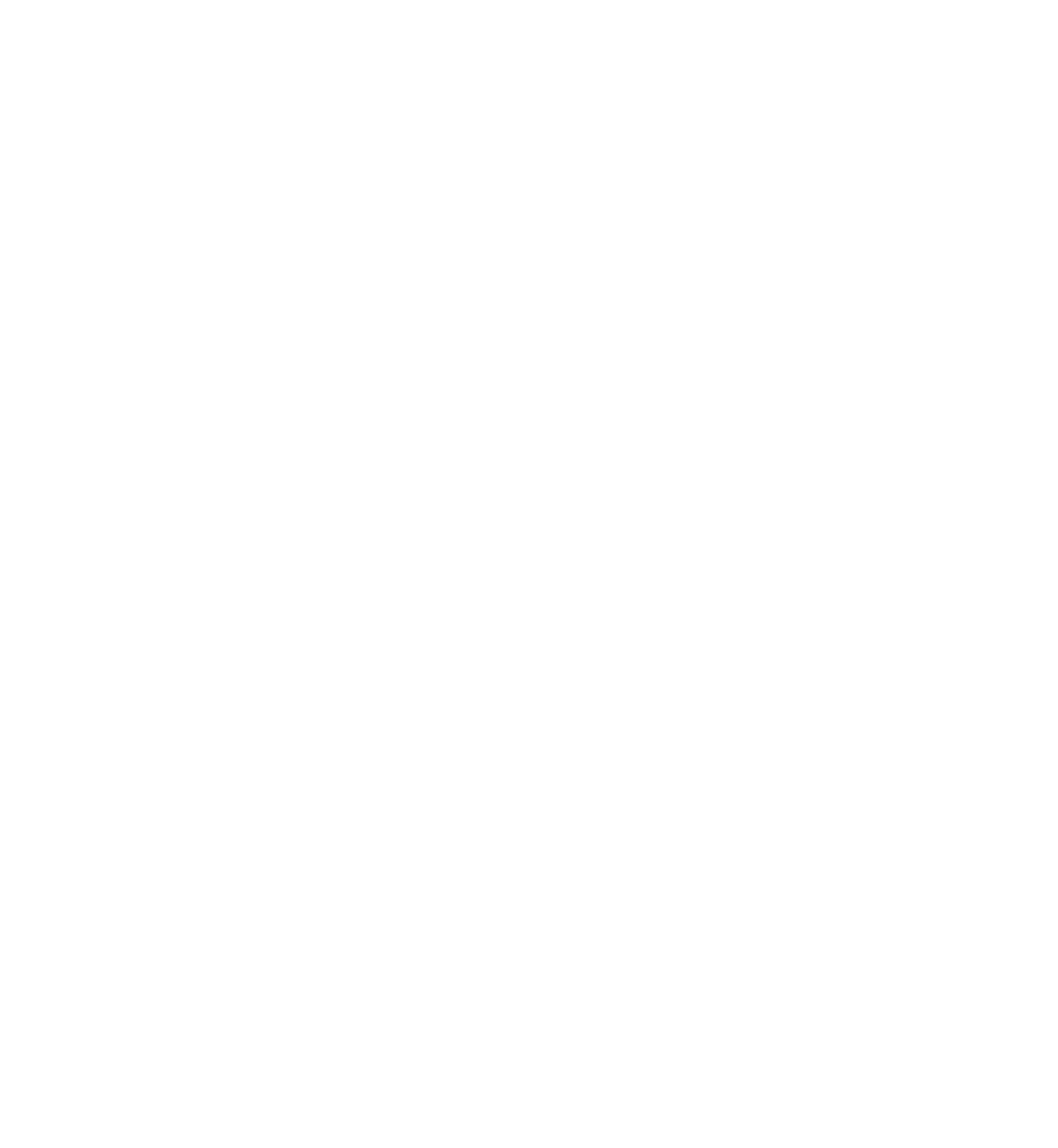 zit logo